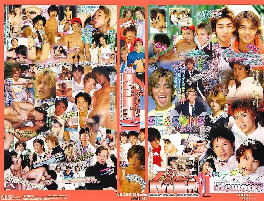Fine Mega Hits 6 1 FIN37