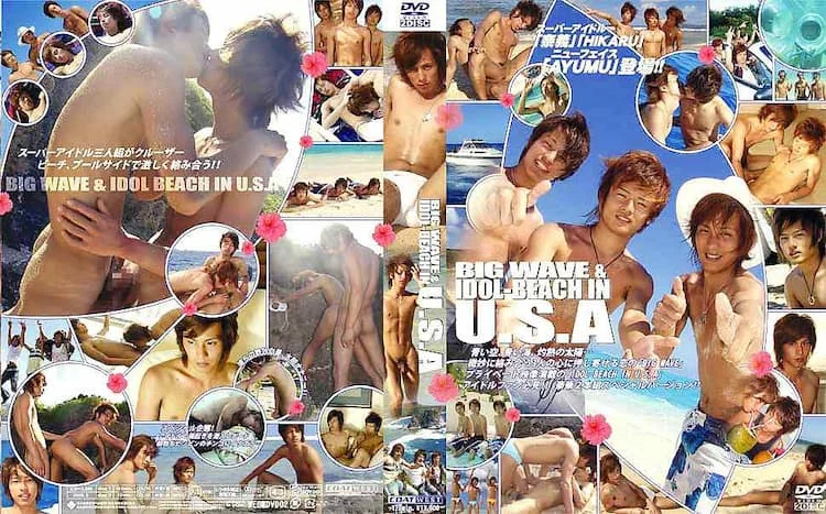 Big Wave & Idol-Beach in USA Disc 2 1 CTO190