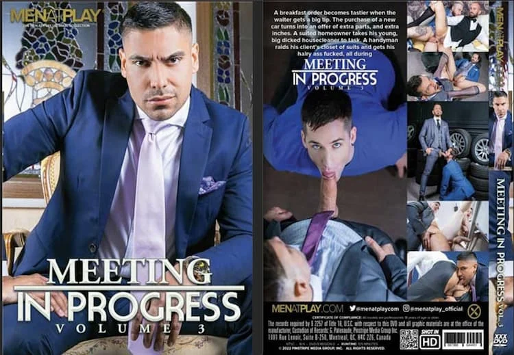 Meeting In Progress 3