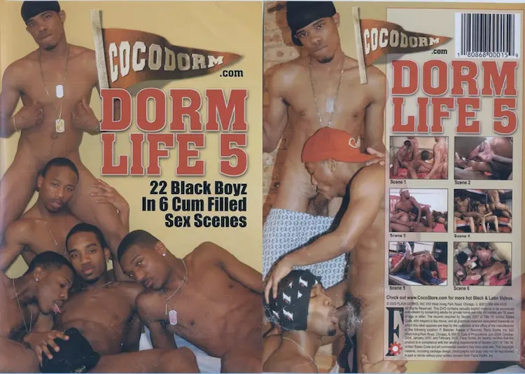 Dorm Life 5