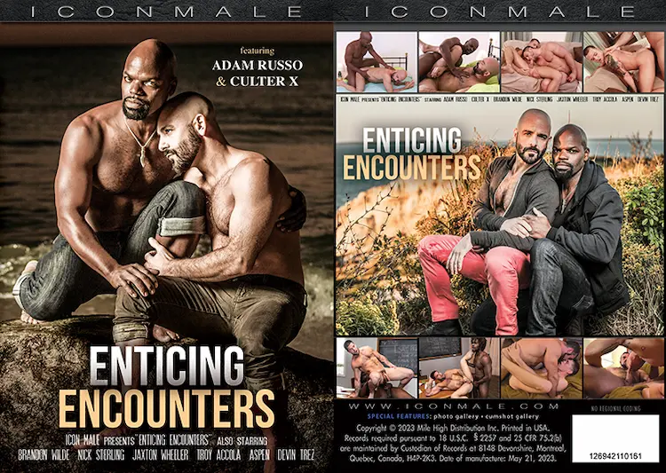 Enticing Encounters