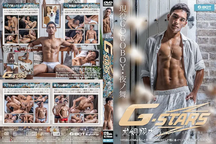 VDGBGS0013
