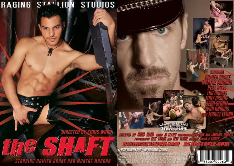 The Shaft