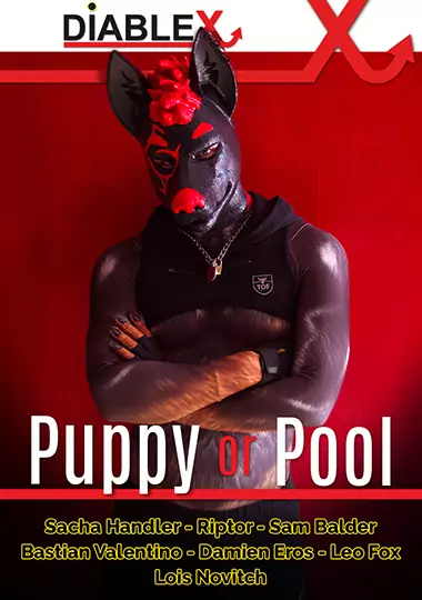 Puppy Or Pool